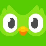 Tải Hack Duolingo Mod Apk (Mở Khóa Premium, Kim Cương) v6.60.6