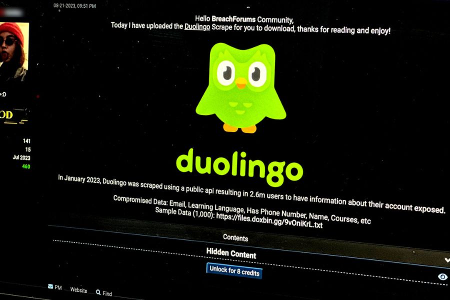banner Hack Duolingo 2